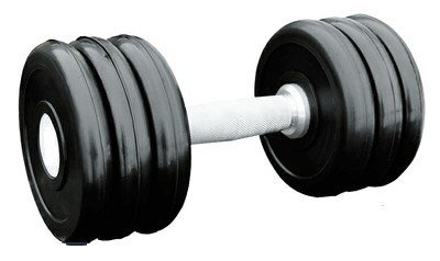 Гантель профессиональная IronKing 20 кг