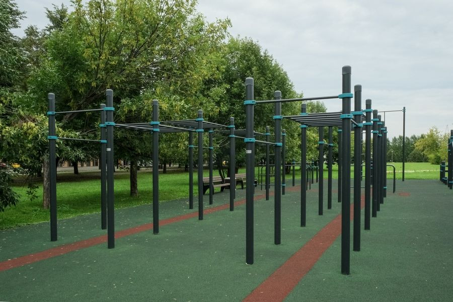 Воркаут-комплекс: рукоход, шведская стенка и 5 турников
